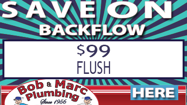backflow flush