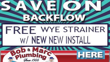 backflow free wye strainer
