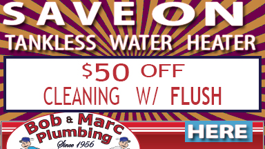 tankless water heater cleaning flush